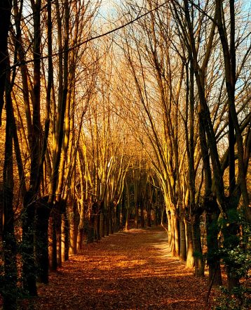 menderes-kahraman-1x65s-jzenY-unsplash