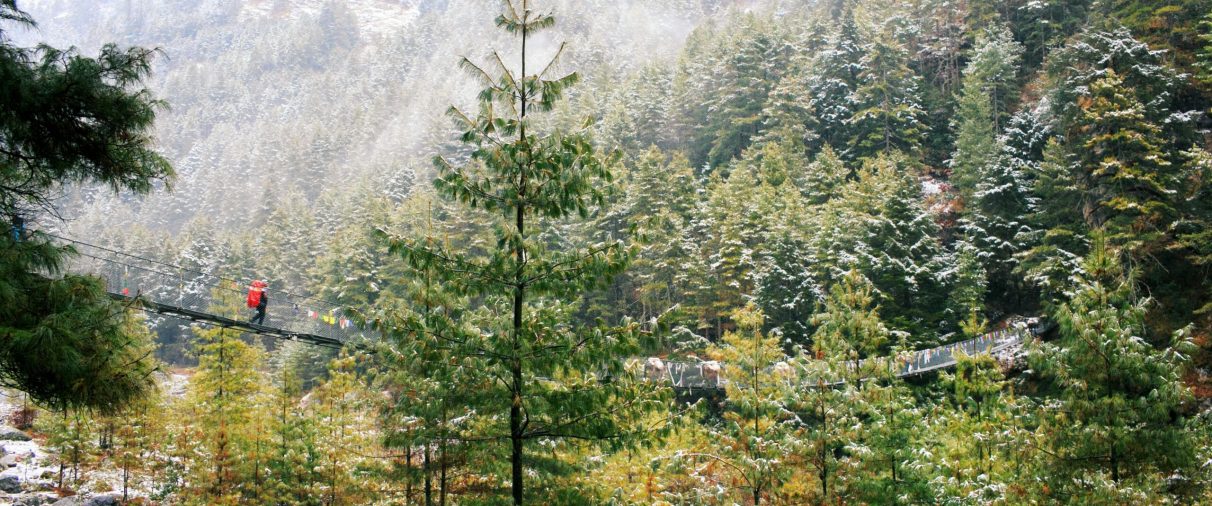 Explore the serene snowy pine forests of Kathmandu, Nepal, featuring a scenic suspended footbridge.