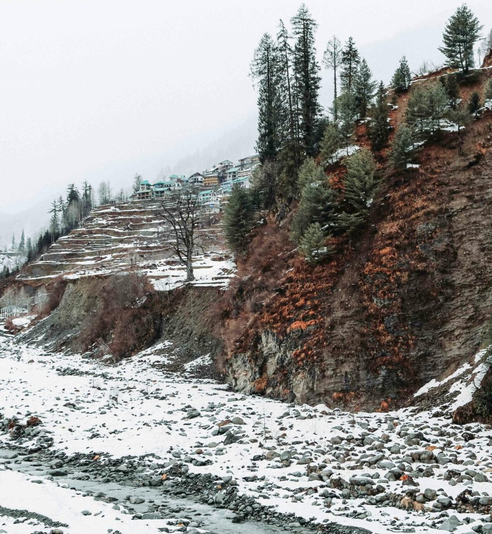 Picturesque view of uneven mounts with growing trees near shabby terrain covered with snow and small stones under serene sky in winter